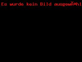 Bild 001