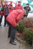 wcv_20071110_aw_115