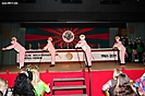 wcv_20110219_aw_184