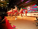 wcv_20110220_xx_042