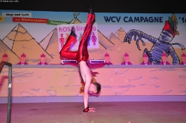 wcv_2016-01-09_aw_082